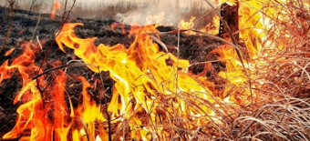 Two separate wildfires erupt overnight in Western Nebraska, causing smoky skies across Northeast Colorado for Thursday.