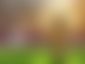 Qatar Airways Holidays oferece pacotes de viagem para fãs da Copa do Mundo da FIFA Qatar 2022™