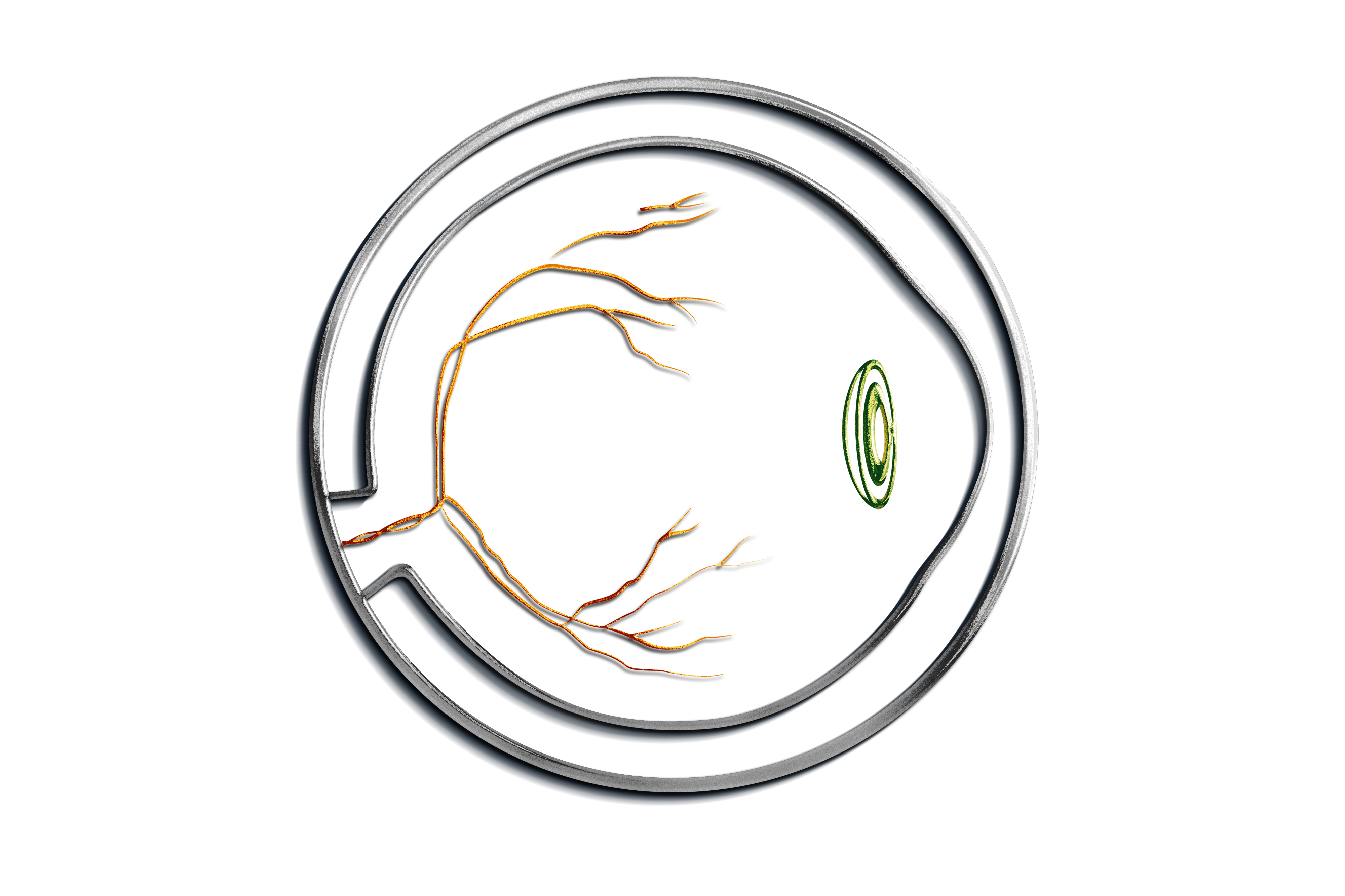 Eyelearning.org