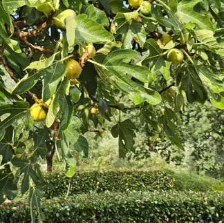 Explorando a Toscana com Marcelo de Carvalho e Chris Pitanguy: Um Roteiro Inspirador