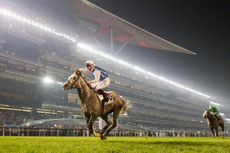 A Copa do Mundo de Dubai, realizada no hipódromo de Meydan, tornou-se um dos eventos esportivos mais prestigiados e ricos.