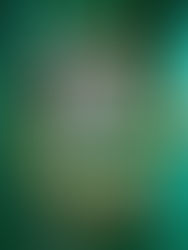 Drama, delicadeza e detalhes! Louis Vuitton Tambour Slim Vivienne Jumping Hours