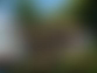 Sandra Foz transforma antiga casa de barcos em loft de luxo na baía de Paraty