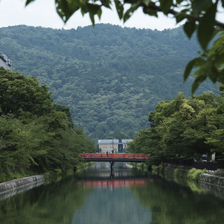 Design Hotels: Descubra as Maravilhas Arquitetônicas do Japão