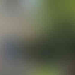 Explorando a Toscana com Marcelo de Carvalho e Chris Pitanguy: Um Roteiro Inspirador