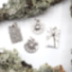 Treasures of Nature.jpeg