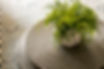 zAaronDoughertyPhoto-Charlotte-3875.jpg