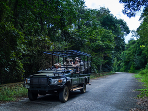 A life-altering adventure at the Southern African Wildlife College