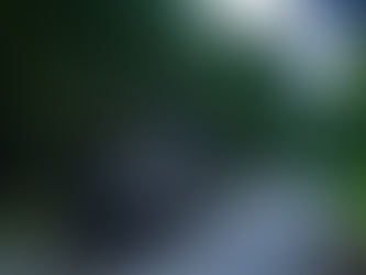 A life-altering adventure at the Southern African Wildlife College