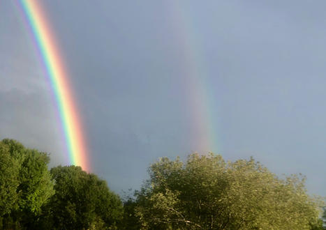 image17.jpeg