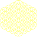 Quantum JAUNE RELIEF 500dpi.png