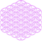 Quantum VIOLET RELIEF 500dpi.png