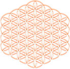 Quantum ORANGE RELIEF 500dpi.png
