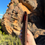 Thumbnail: Engraved Leather Pencil Case