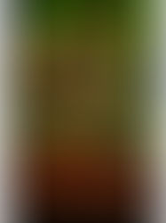 Mail Call: Creature Feature Weekend