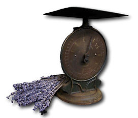 Prop hire Canberra