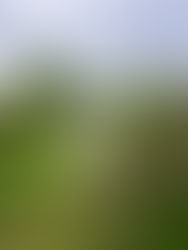 No points in guessing who's going to be the naughty kid!