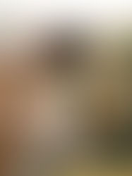 Why Professional Photography Brings Out the Best in Pets