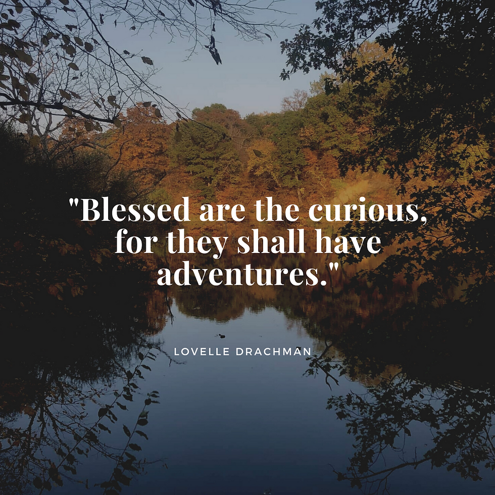 “Blessed are the curious, for they shall have adventures.” – Lovelle Drachman