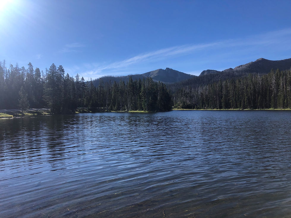Sylvan Lake, Yellowstone National Park