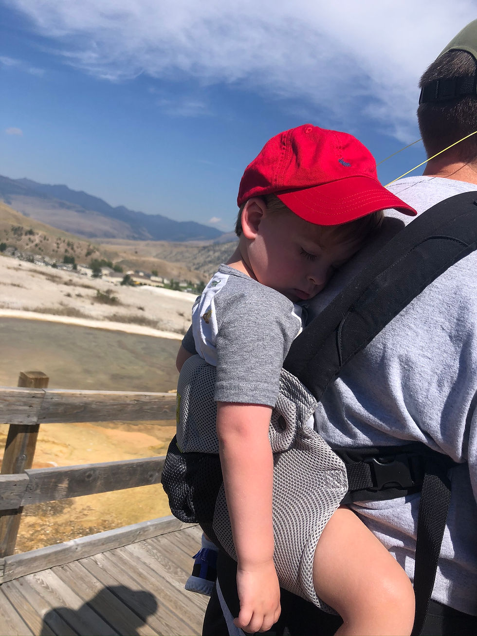 lillebaby complete all season baby carrier
