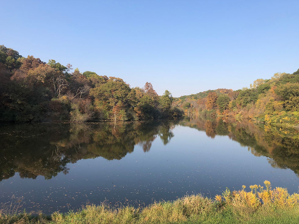 Charity Lake - Brickyard Conservation Area