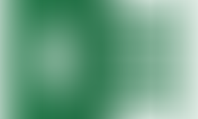 Semana 8 - Octubre 14-15