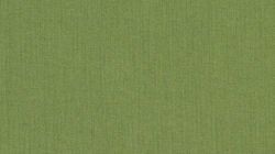 Spectrum Cilantro 48022