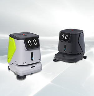 PUDU CC1 schwarz und grün