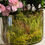 Thumbnail: AZALEA BUSH LIGHT PINK
