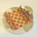 Xadrez Capivaras do Pantanl