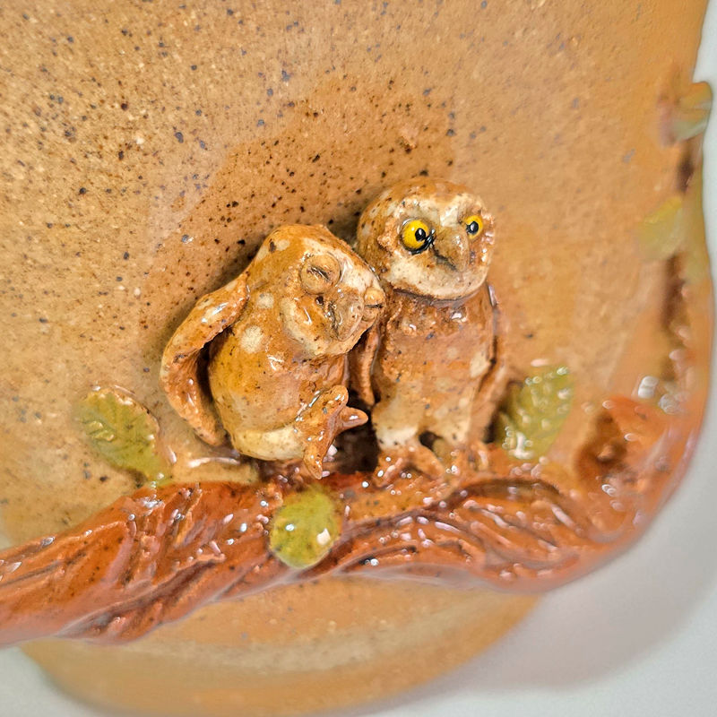 Miniatura: Amor guardião Coruja Buraqueira
