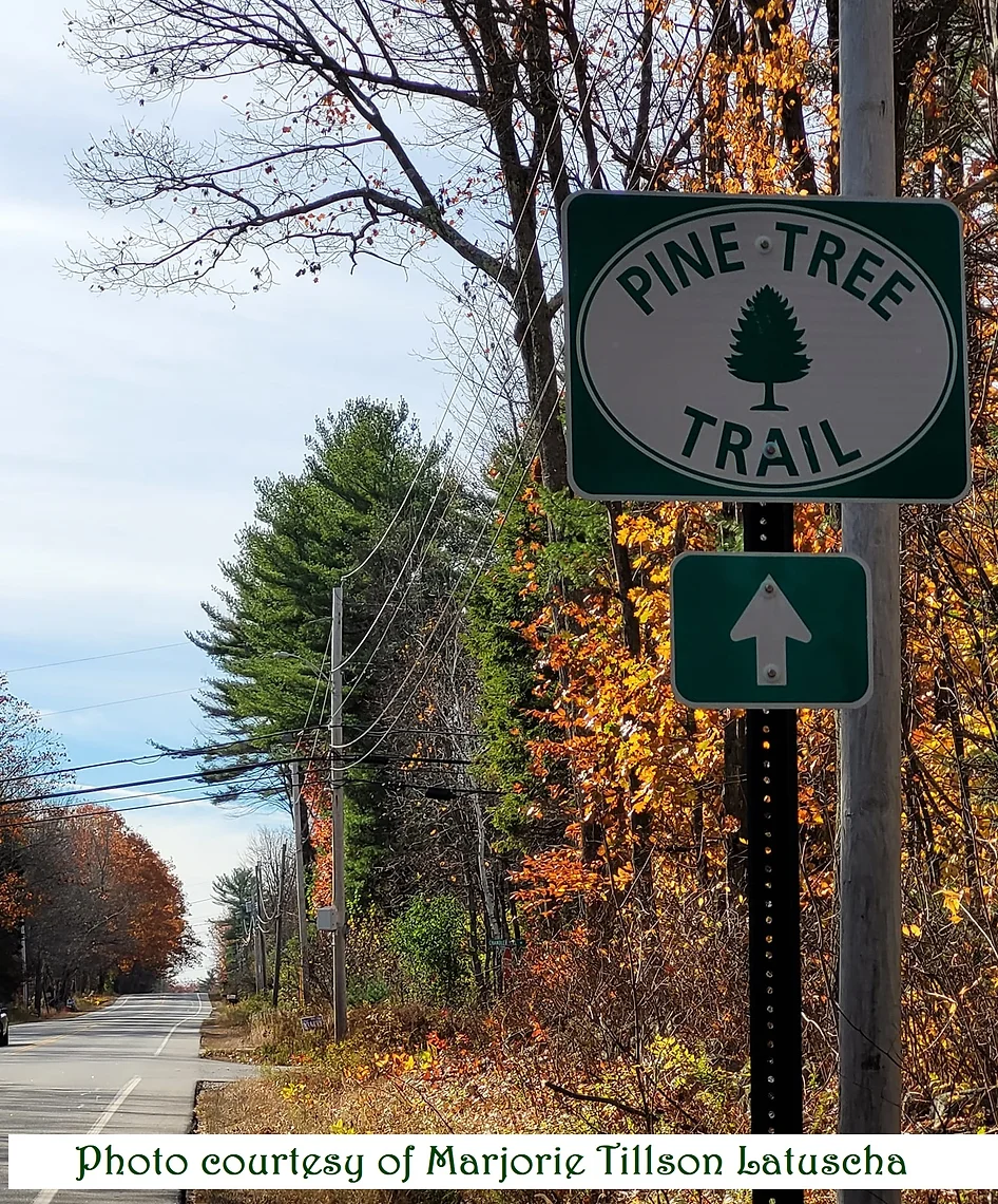 NEW Pine tree trail sign installed.webp