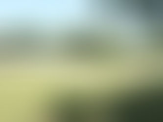 Pourquoi un manège couvert change le quotidien du cavalier et du cheval ?