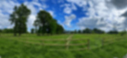 sorties quotidiennes paddocks herbe pension cheval rennes (1)_edited_edited.jpg