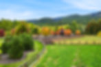 DJI_0015