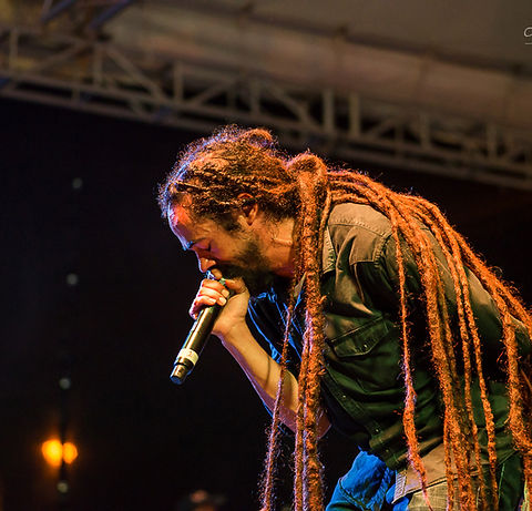 Reggae in the Park 02.05.17 - _DSC8400.J