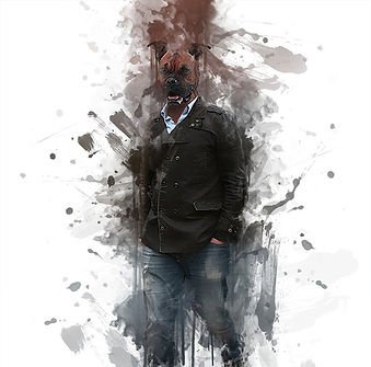 Grafik Evi grafik tasarım