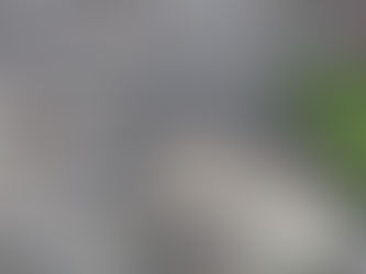 Premier Forest Products strengthens north & north-east England network with Hull acquisition