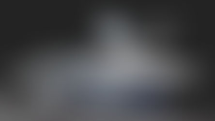 Successful woodworking in safe hands with PCS® | PREVENTATIVE CONTACT SYSTEM