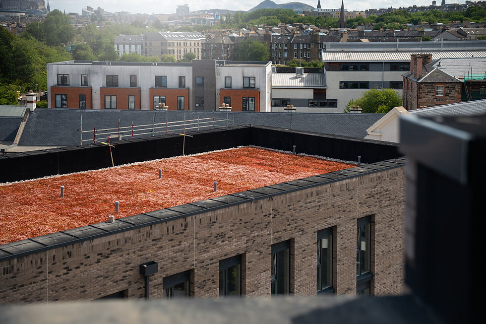 Carlisle Construction Materials celebrates roofing award win