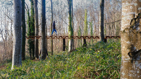 Innovative forest walkway using tree forks wins Bespoke Award at 2025 Wood Awards