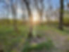 Little Elses Wood Forest School in Sevenoaks Weald Kent.jpg
