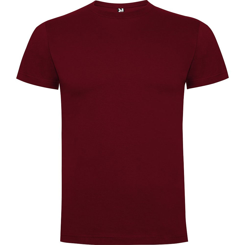 Miniatura: CAMISETA BEAGLE