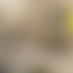 Gremios TIC esperan novedades por nombramiento de Mery Gutiérrez