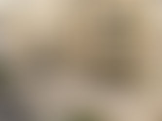 Gremios TIC esperan novedades por nombramiento de Mery Gutiérrez