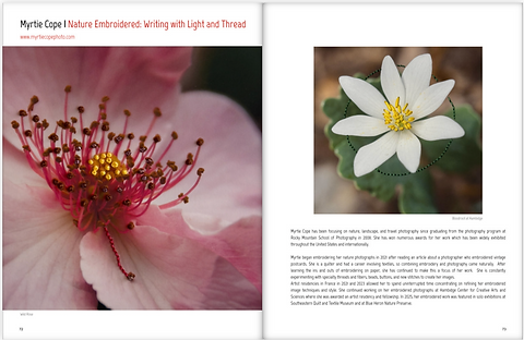 Screenshot 2026-04-07 at 4.00.02 PM.png