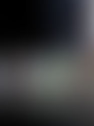 ALFORUM 2025'TE YER ALDIK