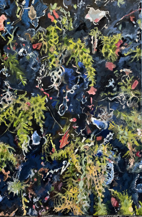 Scattered fungi Parkhill woods Oil 40x60cm.jpg