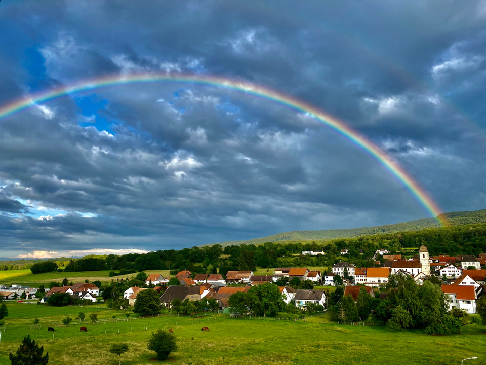 Ecurie de la Louvière